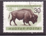 Stamps Hungary -  serie- Zoológico de Budapest