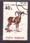 Stamps Romania -  serie- Fauna local