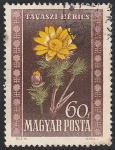 Stamps Hungary -  965 - Flores