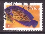 Stamps South Africa -  serie- Peces