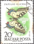 Stamps Hungary -  Mariposas-Cola de golondrina (papilio machaon).