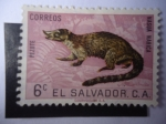 Sellos del Mundo : America : El_Salvador : Coati de Nariz Blanca (Nasua Narica)