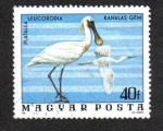 Sellos de Europa - Hungra -  Aves del Parque Nacional Hortobágy, Espátula Eurasiática (Platalea leucorodia)