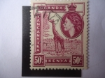 Sellos de Europa - Reino Unido -  Jirafa -África del Este Británica (Kenia-Uganda-Tanzania) Queen Elizabeth II.