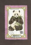 Sellos de Asia - Mongolia -  Oso Panda