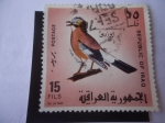 Sellos de Asia - Irak -  Garrulus Glandarius - Jay euroasiático.