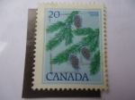 Stamps Canada -  Abeto de Douglas - Pseudotsuga menziesii