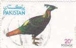 Stamps Pakistan -  AVE