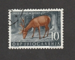 Stamps Yugoslavia -  Ciervo