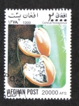 Stamps Afghanistan -  Cactus, Cactus de la Dama de la Noche (Cereus hexagonus)