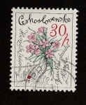 Stamps Czechoslovakia -  Flor de dios