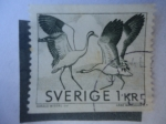 Stamps Sweden -  Grulla Común - Serie:1967-1970.