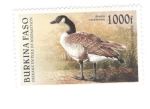 Stamps Burkina Faso -  Ave en peligro de extinción