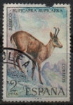 Stamps Spain -  Fauna Hispanica 