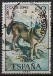 Stamps Spain -  Fauna Hispanica 