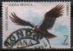 Stamps Spain -  Fauna Hispanica 