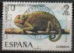 Stamps Spain -  Fauna Hispanica 