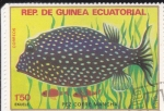 Sellos de Africa - Guinea Ecuatorial -  PEZ COFRE