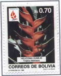 Sellos de America - Bolivia -  Flora Boliviana