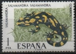 Stamps Spain -  Salamandra