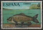 Stamps Spain -  Carpa