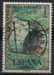 Stamps Spain -  Fauna Hispanica Topo d´Agua