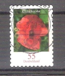 Stamps Germany -  amapola Y2477 adh