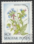 Stamps Hungary -  2324 - Flor pulmonaire veloute