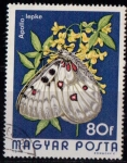 Stamps Hungary -  2396 - Mariposa parnassius apollo