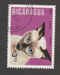 Sellos de America - Nicaragua -  Gato siamés