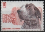 Sellos de Europa - Espa�a -  Perros d´raza Españoles 