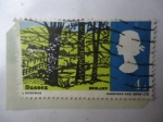 Stamps United Kingdom -  Condado deSussex - Reino de  Sussex del Oste - Paisaje 