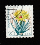 Stamps Germany -  Flor Leuchfenbergia principis