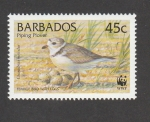 Sellos del Mundo : America : Barbados : Charadrius melodus