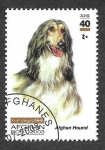 Stamps Afghanistan -  1402 - Perro