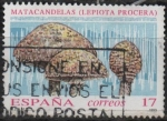 Stamps Spain -  Micologia 