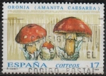 Stamps Spain -  Micologia 