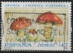 Stamps Spain -  Micologia 