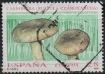 Stamps Spain -  Micologia 