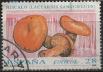 Stamps Spain -  Micologia 