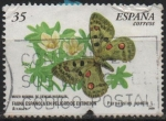 Stamps Spain -  Fauna en peligro d´Extincion 