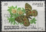 Stamps Spain -  Fauna en peligro d´Extincion 