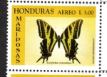 Sellos de America - Honduras -  Golondrina De Cebra (Eurytides marcellus)