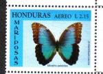 Stamps Honduras -  Morpho común (morpho peleides)