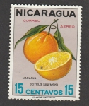 Stamps Nicaragua -  Naranja