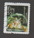 Stamps Ireland -  Cangrejo ermitaño