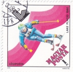 Stamps Hungary -  OLIMPIADA LAKE PLACID-80