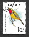 Sellos de Africa - Tanzania -  980 - Malaconotidae de 4 Colores