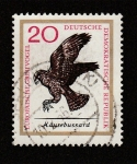 Stamps Germany -  Aguila ratonera