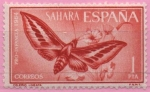 Stamps Spain -  Pro Infancia 